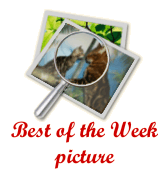 Klikk to se the Best of the Week bilde >>>